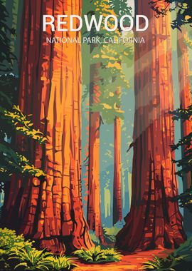 Redwood National Park Poster