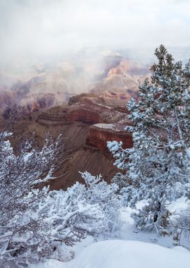 Grand Canyon Winter