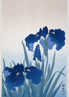 Iris Flowers by Ohara Koson