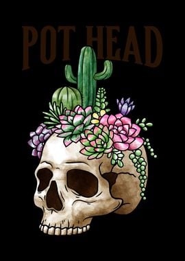 Skull with Succulents