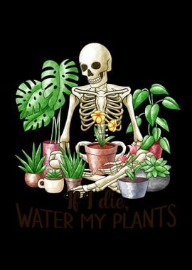 Skeleton Plant Lover