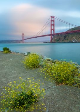 Golden Gate Summer