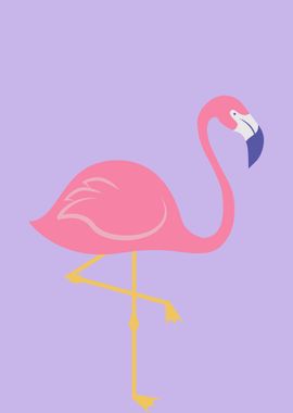 Pink Flamingo Illustration