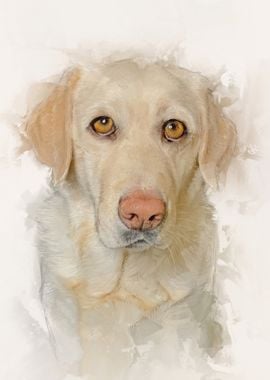 Golden Retriever Watercolor Portrait