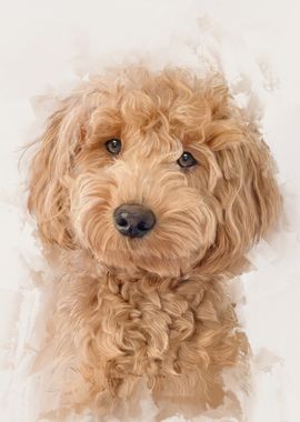 Golden Doodle Portrait