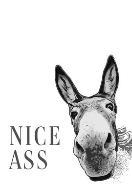 Donkey with Funny Text