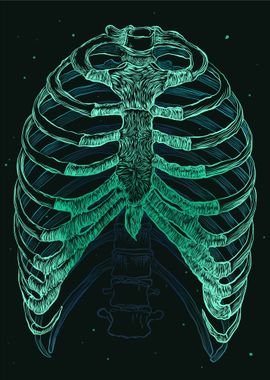 The Magical Rib Cage