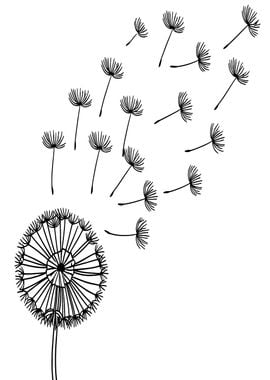 Dandelion Seeds