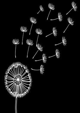 Dandelion Seeds