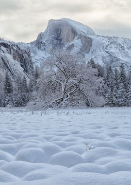 Snowy Mountain Landscape