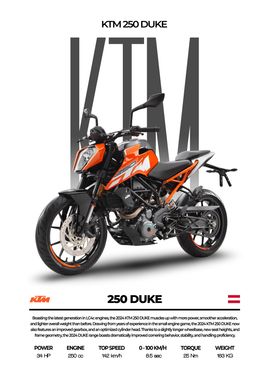 KTM 250 Duke Motorcycle