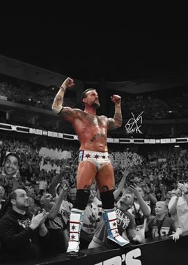 CM Punk Wrestling Victory