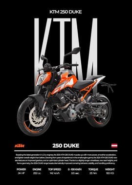 KTM 250 Duke Motorcycle