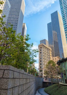 San Francisco Skyscrapers