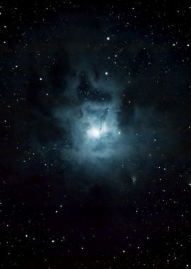 NGC7023 - The Iris Nebula