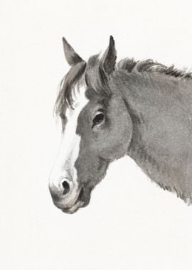 Horse Portrait Watercolor Black And White Vintage Cowboy Ranch Home Decor