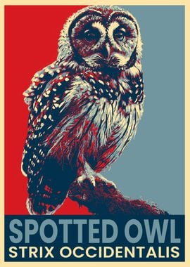 Spotted Owl Poster