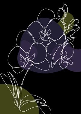 Black Orchid Line Art