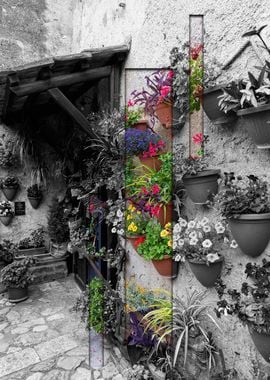 Colorful Flower Pots on Stone Wall