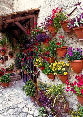 Flower-Filled Stone Wall