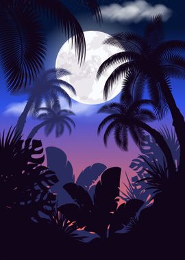 Tropical Night Sky