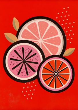 Bold Citrus Fruit Illustration in Red, Pink, and Orange