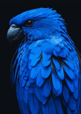 Blue Parrot Illustration