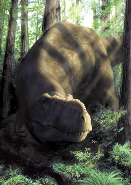 Tyrannosaurus Rex in Forest