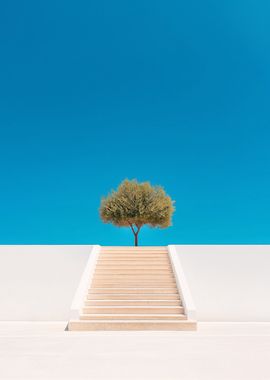 Tree on Stairs