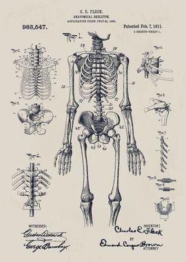 Human Skeleton Patent Print