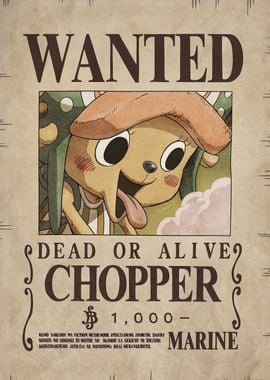 Wanted: Tony Tony Chopper