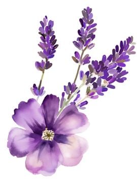 Purple Lavender Watercolor