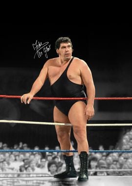 Andre the Giant Wrestling