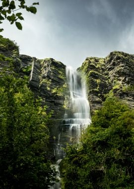 Waterfall in Lush Forest