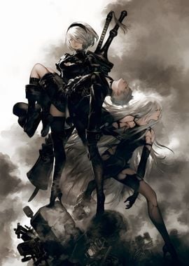 2B &amp; 9S Nier Automata