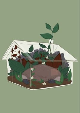 Cabin Terrarium