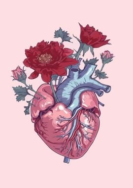 Anatomical Heart with Roses