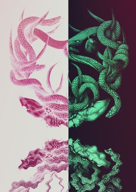 Snakes in Pink and Green