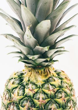 Close-up Pineapple