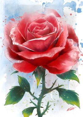 Red Rose Watercolor