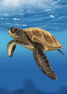 Sea Turtle Illustration