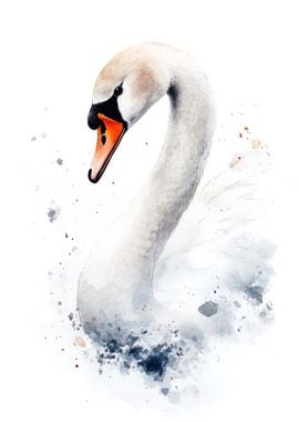 Watercolor Swan Portrait