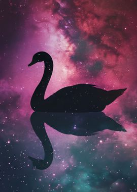 Swan in the Galaxy