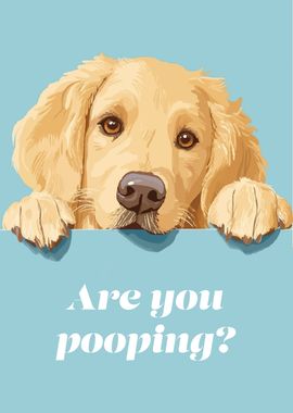 Golden Retriever Pooping