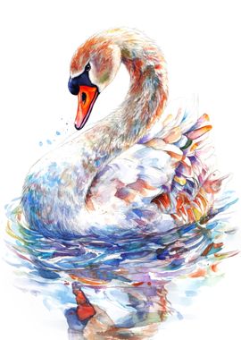 Watercolor Swan