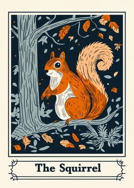 Squirrel Illustration