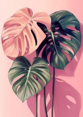 Pink and Green Monstera Leaves