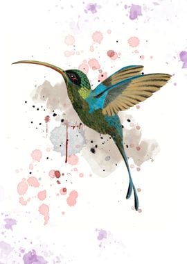 Abstract Hummingbird with Watercolor Splashes