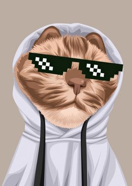 Cat in Hoodie with Shades meme