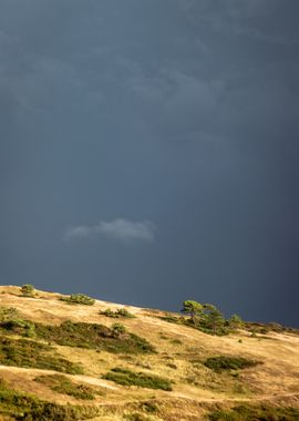 Stormy Dunes